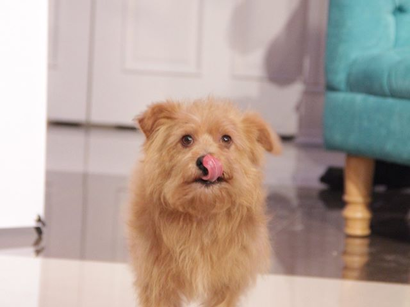 Foto 59 de Meu Coração é Teu