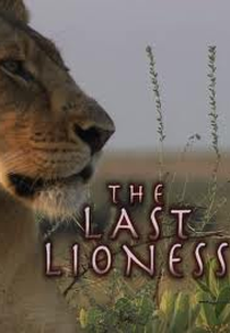 NatGeo - Leoa Solitária  (NatGeo - The Last Lioness)