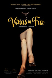 A Pele de Vênus - Poster / Capa / Cartaz - Oficial 6