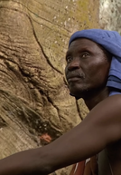 Ilhas Bijagós, Nas Ilhas Misteriosas da África Ocidental