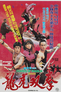 Ninja Contra Shaolin  - Poster / Capa / Cartaz - Oficial 1