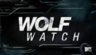 Teen Wolf - Wolf Watch 5x01 with Tyler P, Jeff D, Holland R, Dylan S. and Shelley H.