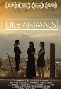 Like Animals (Like Animals)