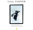 Tina Turner: I Don't Wanna Lose You