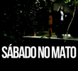Sábado no mato