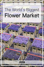 The World's Biggest Flower Market (The World's Biggest Flower Market)