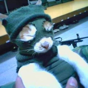 Foto de perfil de thaís!!