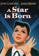 Nasce Uma Estrela (A Star Is Born)