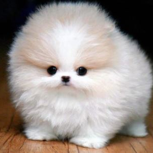 Foto de perfil de Patricia