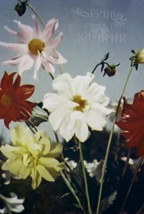 Spring Comes to Kashmir - Poster / Capa / Cartaz - Oficial 1