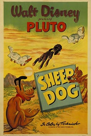 Poster 1 de Curta Sheep Dog (1949)