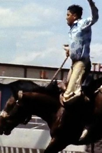  de Filme Going the Distance (1979)