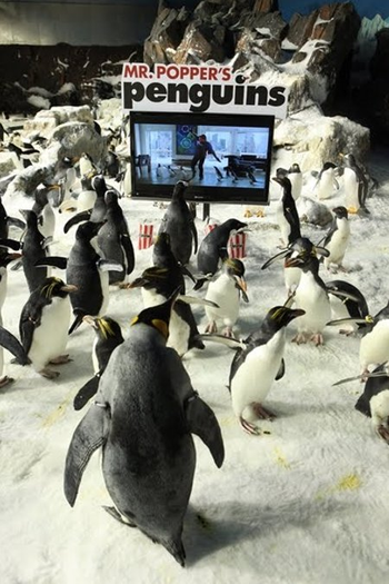  de Filme Os Pinguins do Papai (2011)
