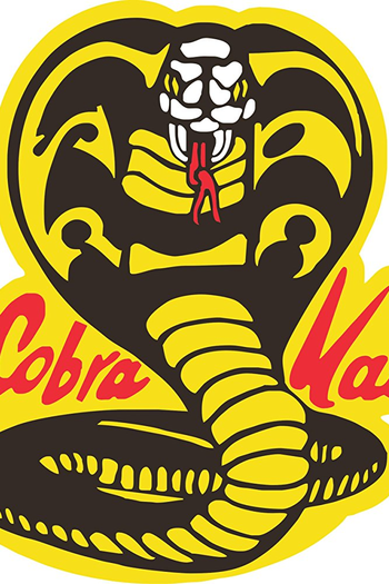  de Série Cobra Kai (1ª Temporada) (2018)