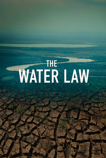 A Lei da Água - Novo Código Florestal - Poster / Capa / Cartaz - Oficial 2