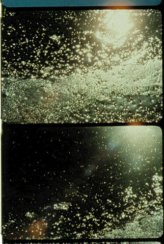 Poster 1 de Curta Jardin du Sel (2011)