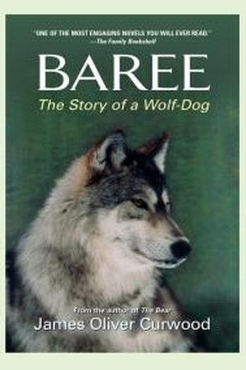 Poster de Filme Baree: O Cão Mestiço (1994)
