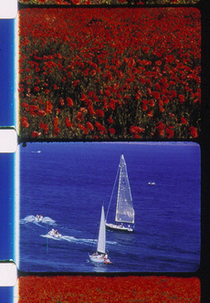 Voiliers et Coquelicots (Voiliers et Coquelicots)