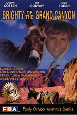 Poster 1 de Filme O Brilho do Grand Canyon (1967)