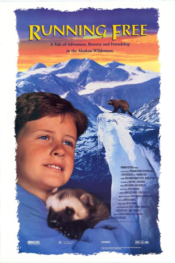 Poster de Filme Férias no Alaska (1994)