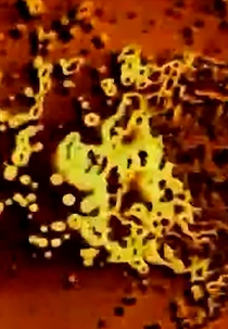 High Voltage (High Voltage)