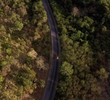Mile 5: Road Trip