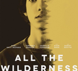 All the Wilderness 