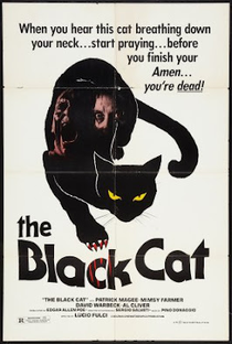 Gato Negro - Poster / Capa / Cartaz - Oficial 2