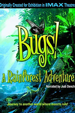 Insetos! Uma Aventura da Floresta Tropical (Bugs! A Rainforest Adventure)