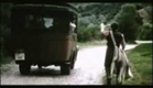 Un viaggio chiamato amore - trailer in italiano