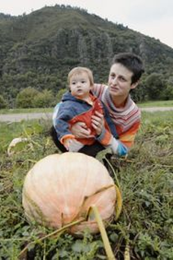 Poster de Filme Tempo (2016)