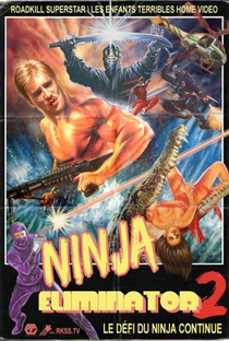 Eliminador Ninja II: A Busca pelo Cristal Ninja Mágico - Poster / Capa / Cartaz - Oficial 1