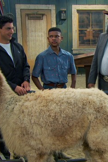 Poster de Episódio Alpaca-lypse Now (2023)
