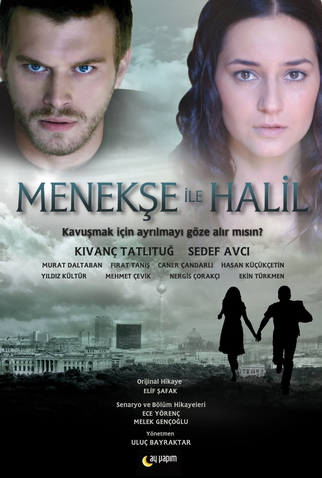 Poster 1 de Série Menekse ile Halil (2007)