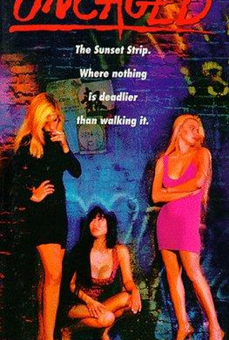 Poster 1 de Filme Zona de Perigo (1991)