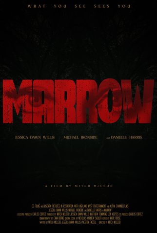 Poster 1 de Filme Marrow (2026)