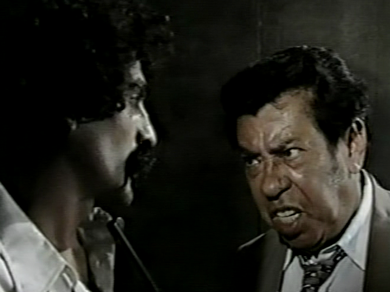 Foto 3 de Feijão Maravilha