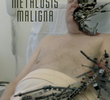 Metalosis Maligna