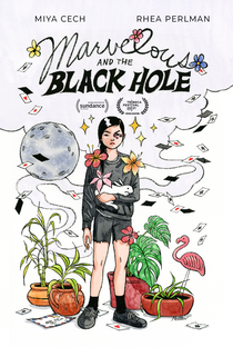 Marvelous and the Black Hole - Poster / Capa / Cartaz - Oficial 1
