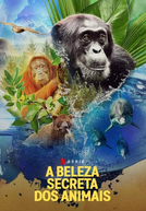 A Beleza Secreta dos Animais (2ª Temporada)