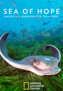 Tesouro Submarino (Sea of Hope: America's Underwater Treasures)