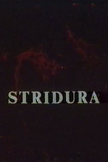 Stridura (Stridura)