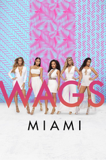 WAGS Miami (WAGS Miami)