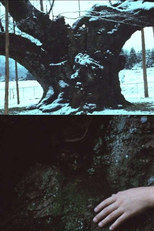 The Cherry Tree with Gray Blossoms (薄墨の桜)