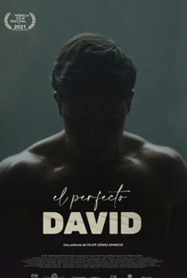 O Perfeito David - Poster / Capa / Cartaz - Oficial 1