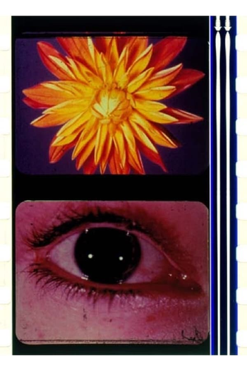 Poster de Curta To the Happy Few (2003)