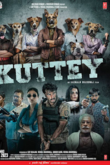 No Faro da Grana (Kuttey)