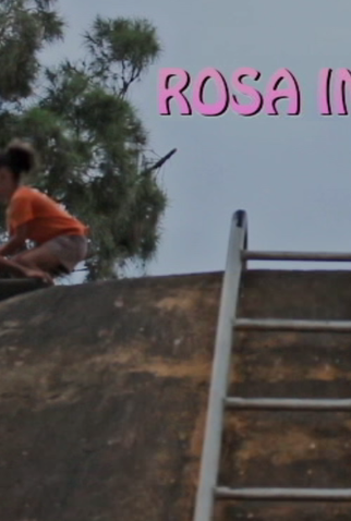 Poster 3 de Curta Rosa Importa (2017)