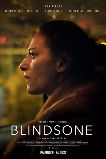 Poster de Filme Blind Spot (2018)