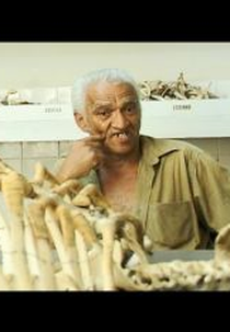 O Guardador (O Guardador)